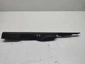 Fender end trim