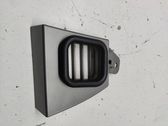 Other front door trim element