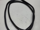 Rear door rubber seal (on body)