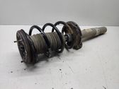 Front shock absorber with coil spring