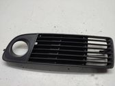 Front fog light trim/grill