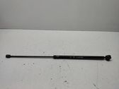 Front bonnet/hood damper/strut