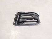 Front fog light trim/grill