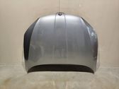 Engine bonnet/hood