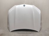 Engine bonnet/hood