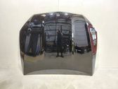 Motorhaube