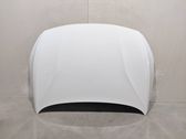 Engine bonnet/hood