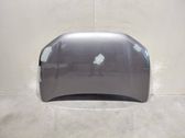 Motorhaube