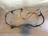 Other wiring loom