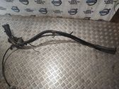 Fuel tank filler neck pipe