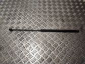 Front bonnet/hood damper/strut