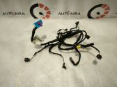 Front door wiring loom