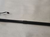 Tailgate/trunk strut/damper