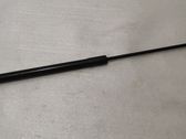 Tailgate/trunk strut/damper