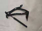 Tailgate/trunk/boot hinge