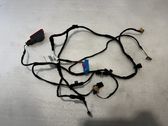 Cableado de puerta delantera