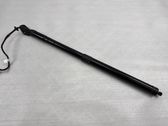 Tailgate/trunk strut/damper