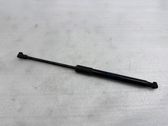 Front bonnet/hood damper/strut