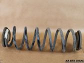 Feder hinten