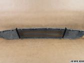 Front bumper upper radiator grill