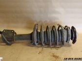 Front shock absorber with coil spring