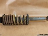 Rear shock absorber/damper