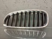 Front bumper upper radiator grill