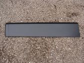 Front door trim (molding)