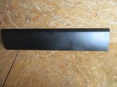 Front door trim (molding)
