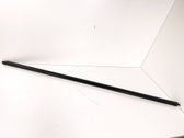 Front door glass trim molding