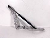 Tailgate/trunk/boot hinge