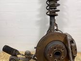Front shock absorber with coil spring