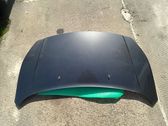 Engine bonnet/hood
