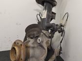 Front wheel hub spindle knuckle