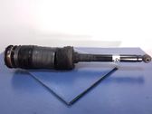 Rear shock absorber/damper