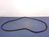 Trunk rubber seal (body)