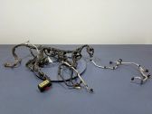 Other wiring loom