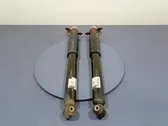 Rear shock absorber/damper