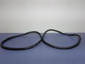 Front door rubber seal