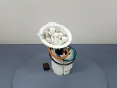 Kraftstoffpumpe im Tank