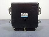 Engine control unit/module ECU