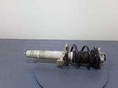 Front shock absorber/damper