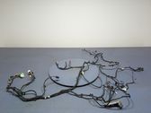 Other wiring loom