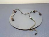 Other wiring loom