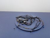 Other wiring loom