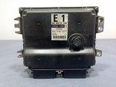 Engine control unit/module ECU