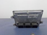 Engine control unit/module ECU