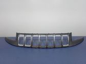 Front grill
