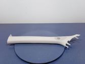Other sill/pillar trim element