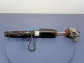 Rear shock absorber/damper